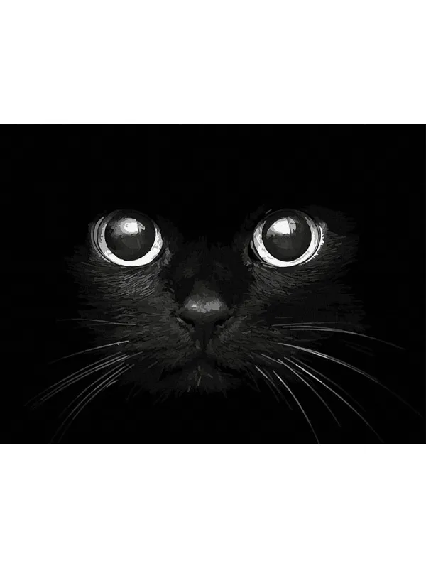 Черна котка - Рисуване по номера - 50/40СМ.