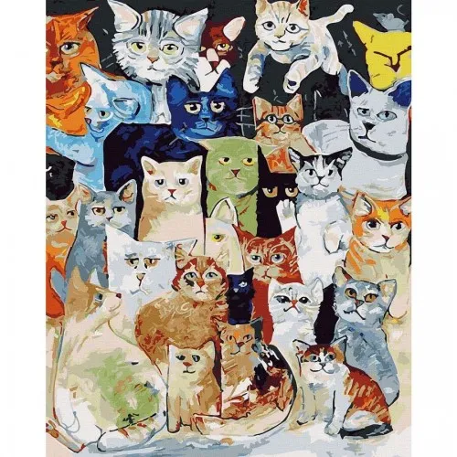 Цветни котки - Рисуване по номера - 50/40СМ.