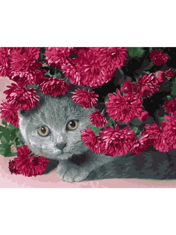 Срамежливо коте - Рисуване по номера - 50/40СМ. - Супер цена